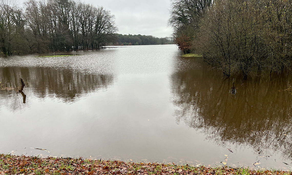 Update zur Hochwasserlage im mittleren Emsland