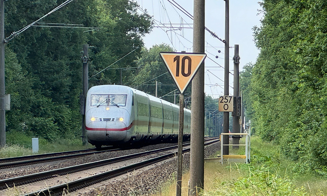 Meppen – Reh stoppt Fahrt von ICE