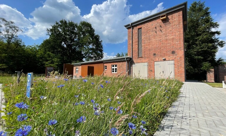 Erinnerungsort Lager XII Dalum: Nisthilfen angebracht und Wildblumenwiese blüht