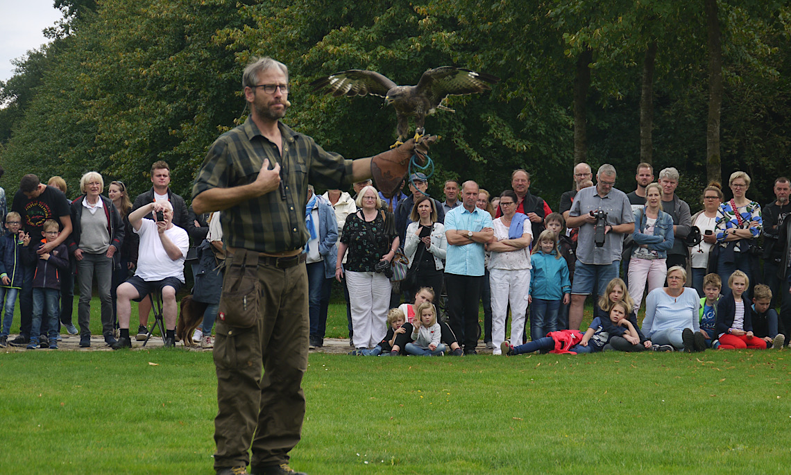 Falknertag am 01. September auf Schloss Clemenswerth