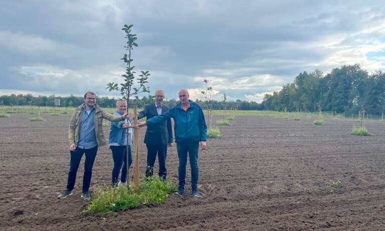 Neue Streuobstwiese in Groß Hesepe