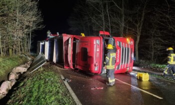 Haselünne – Schweinetransporter kommt von Fahrbahn ab