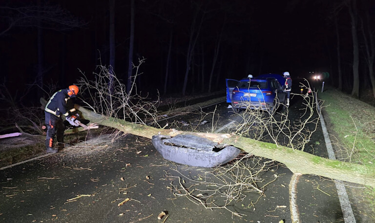 Meppen – Pkw fährt über umgestürzten Baum