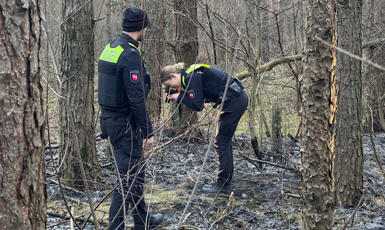 Meppen – 150 Quadratmeter Waldfläche in Brand geraten